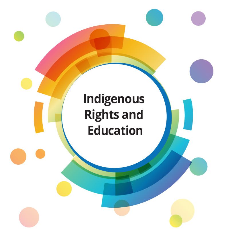 Multi-Year Strategic Plan Indigenous Rights and Education